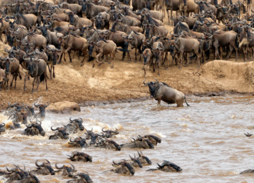 Where Your African Adventure Begins – Nature meets Culture and Adventure